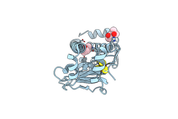 5E44 image