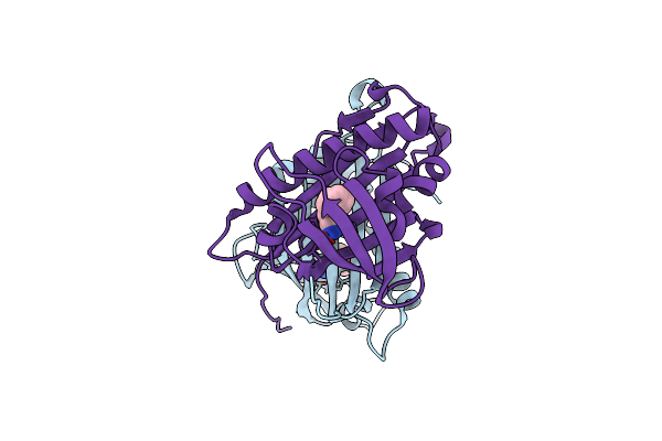 5E4B image