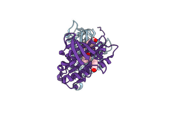 5E4D image