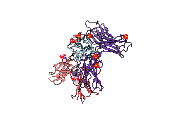 5E4E image