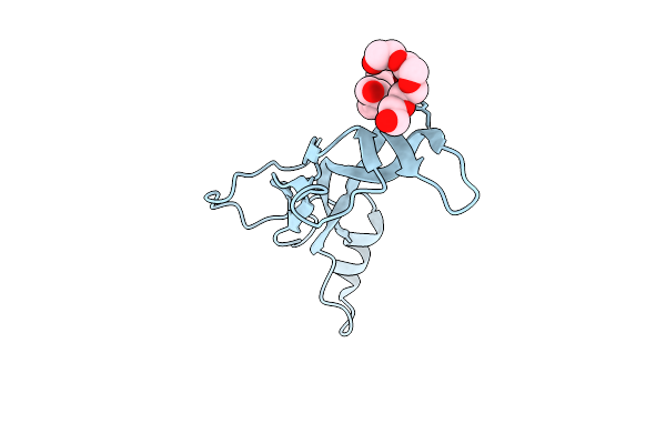 5E4G image
