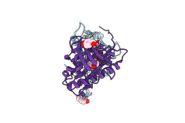 5E4M image