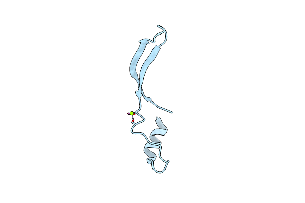 5E4X image