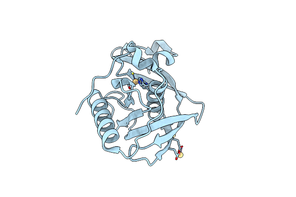5E5D image