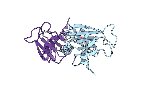 5E5E image