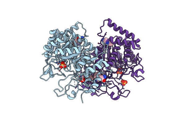 5E5G image