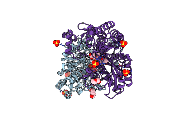 5E5I image