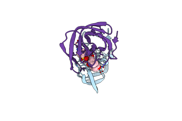 5E5J image