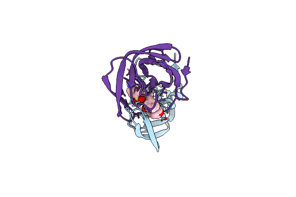5E5K image