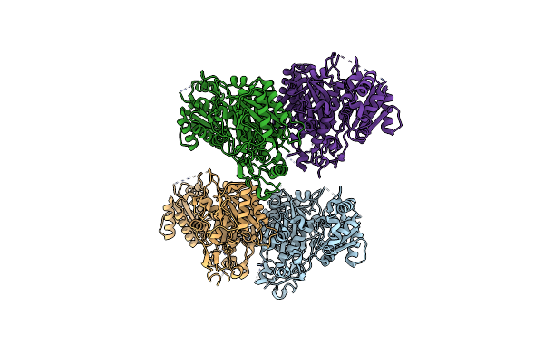 5E5N image