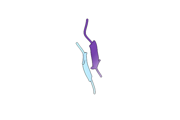 5E5V image