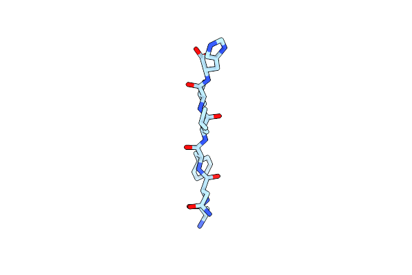 5E5X image