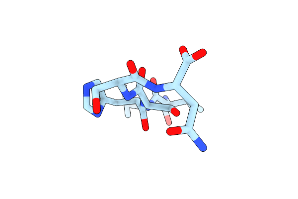 5E5Z image
