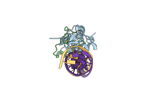 5E6C image