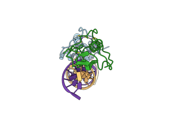 5E6D image