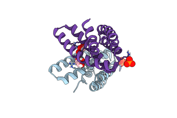 5E6G image