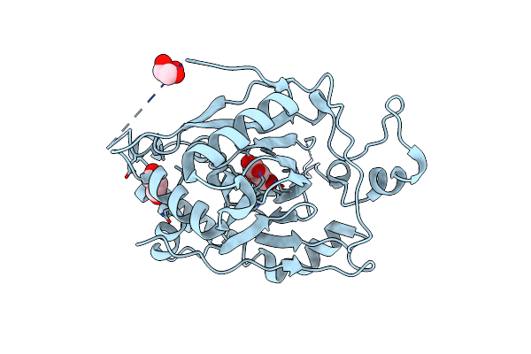 5E6H image