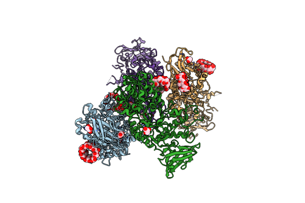 5E6Z image