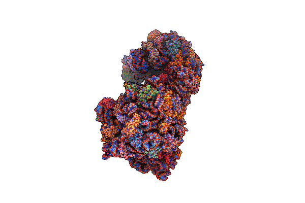 5E81 image