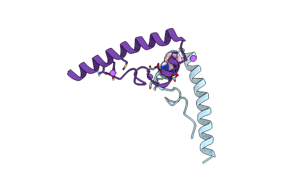 5E8B image