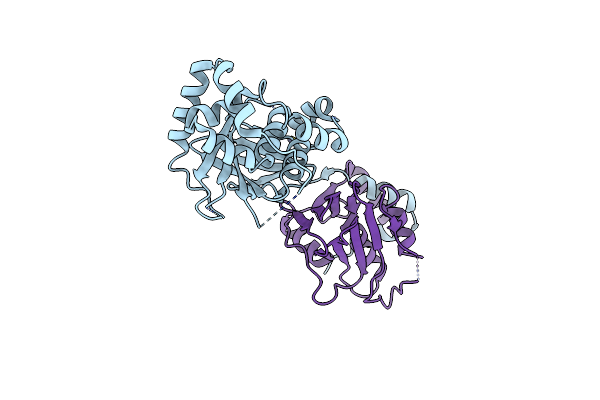 5E8C image