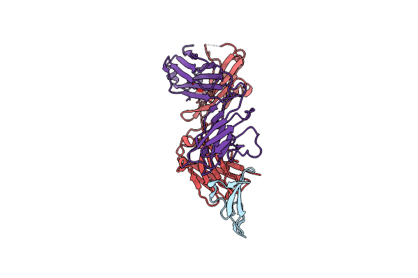 5E8D image