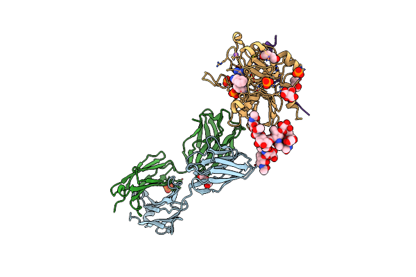 5E8E image