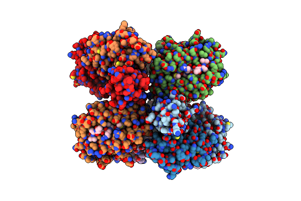5E8N image