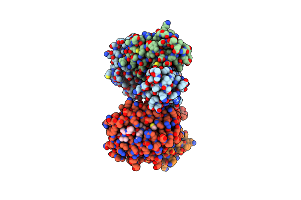 5E8P image