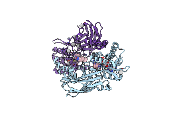 5E8R image