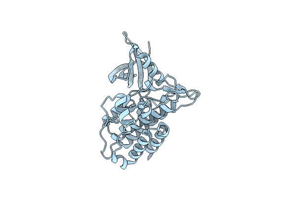 5E8S image