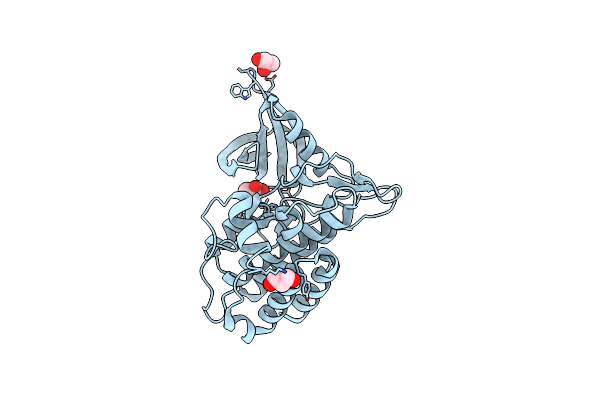 5E8T image