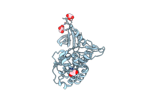 5E8U image