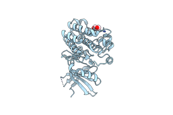 5E8V image