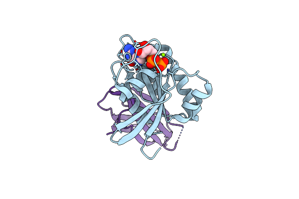 5E95 image