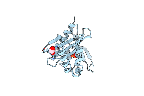 5E96 image