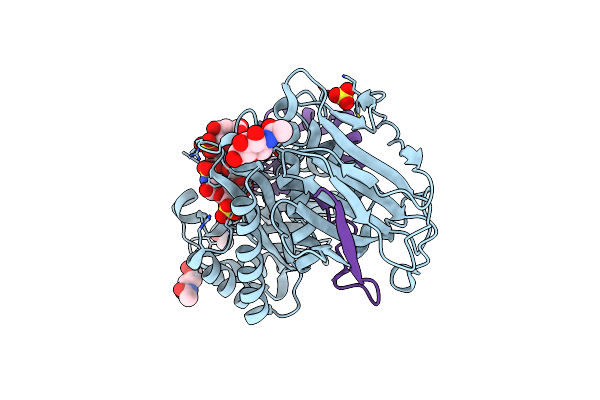 5E9C image