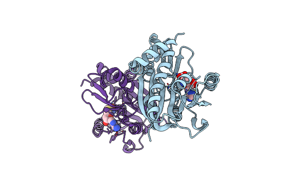 5E9J image