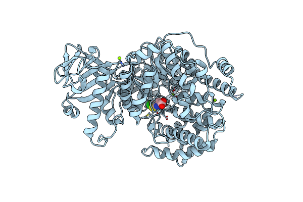 5E9X image