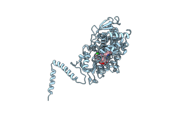 5EAD image