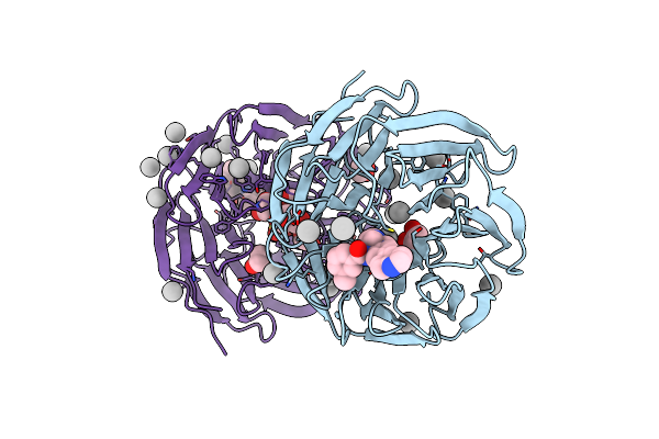 5EAM image