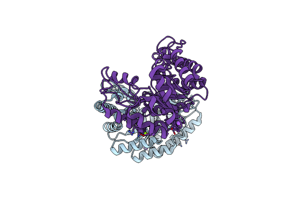 5EB8 image