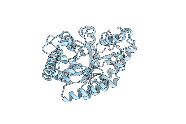 5EBA image
