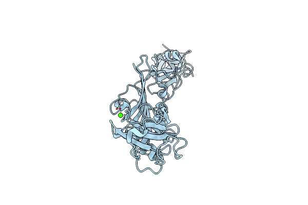 5EBD image