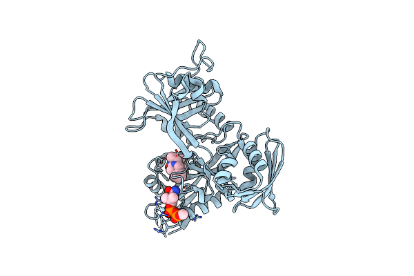 5EBV image