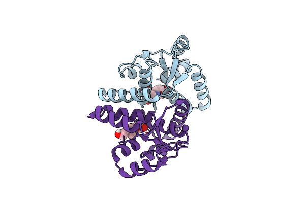 5ECD image