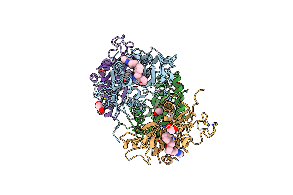 5ECE image