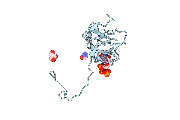 5ECT image