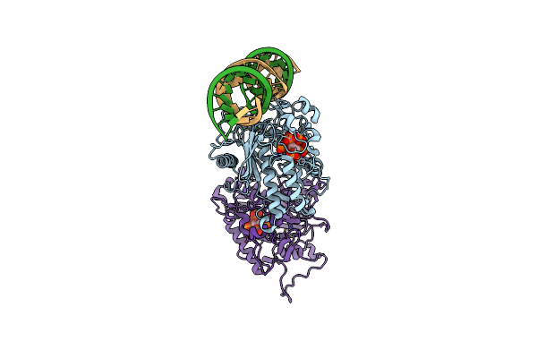 5ED1 image