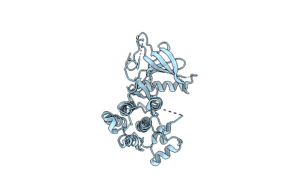5EDP image